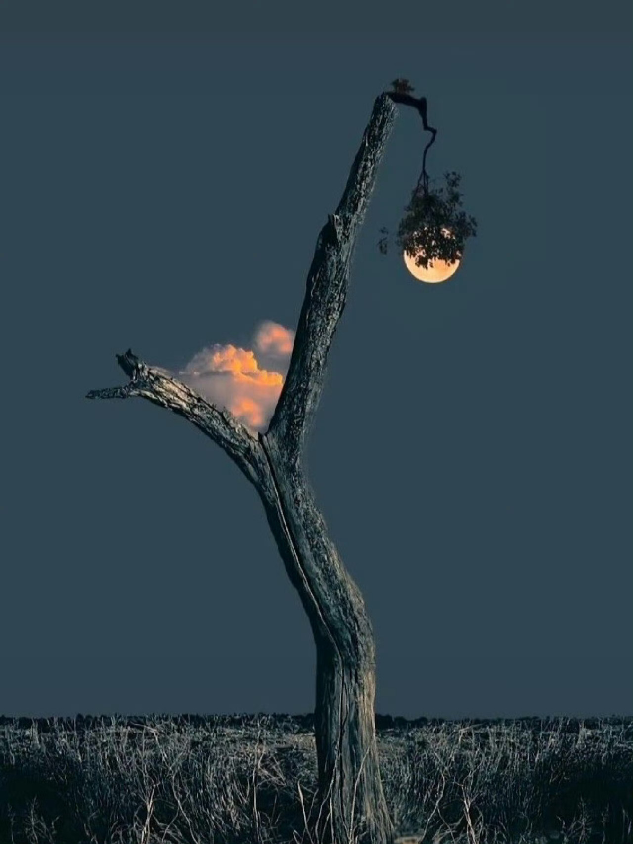 我们知道，语言和月亮一样，有它阴暗的一面。——博尔赫斯 