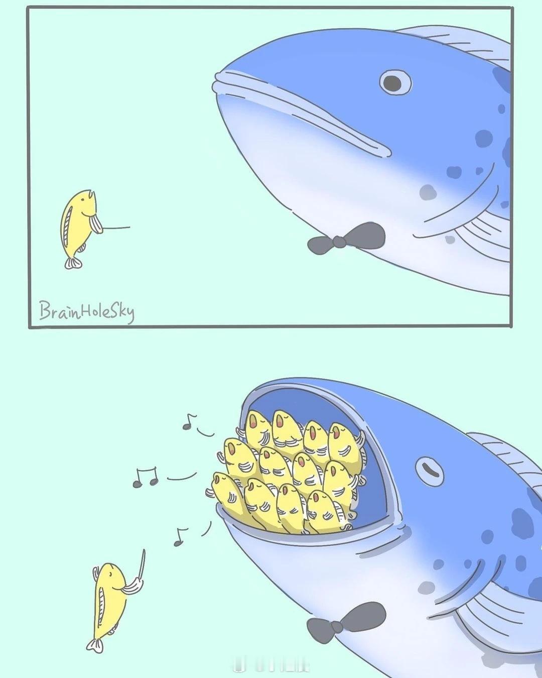 开始演奏 