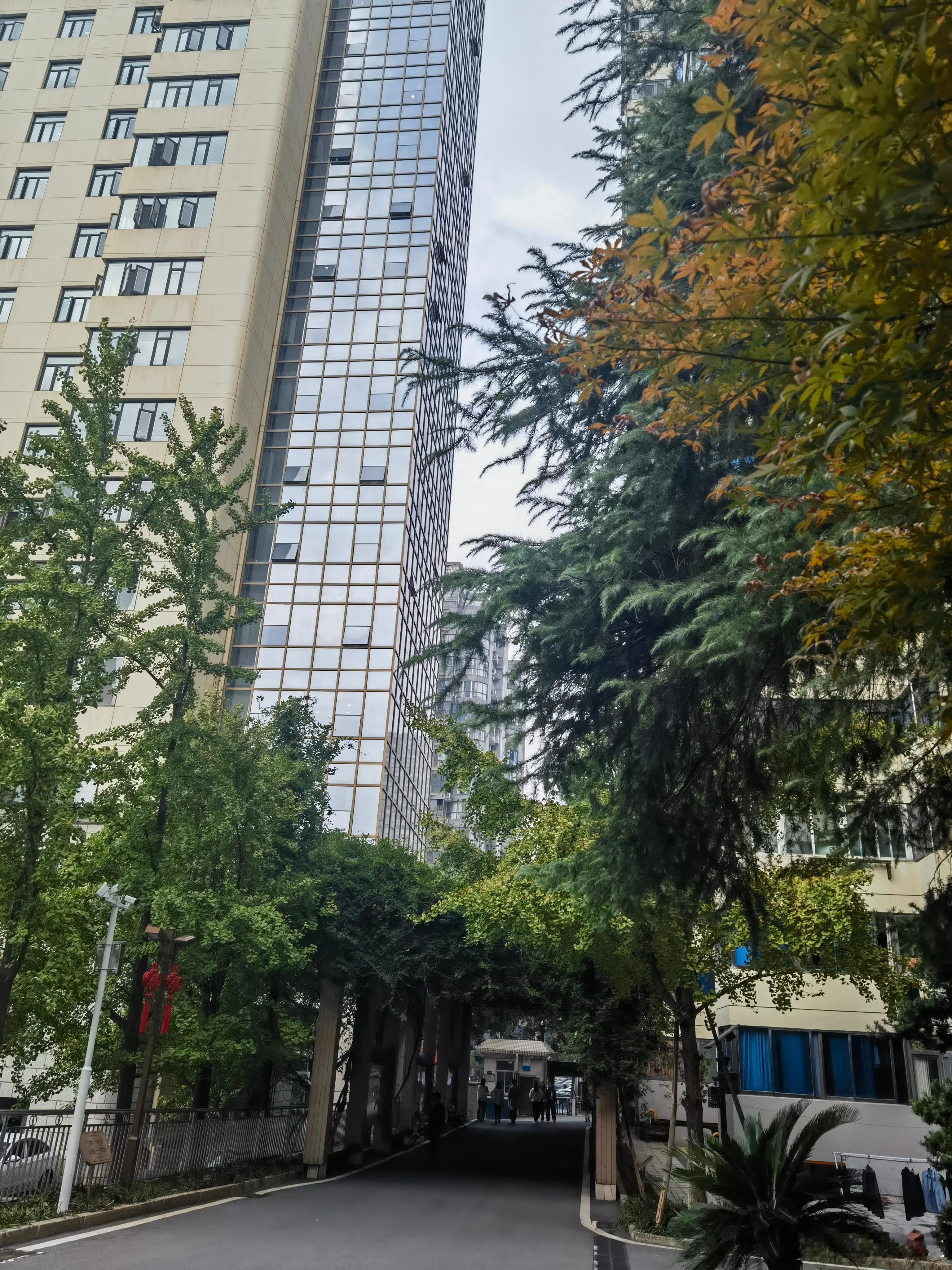 债务监督的有效路径探析        防范化解债务风险，不仅关乎经济稳定，更是衡