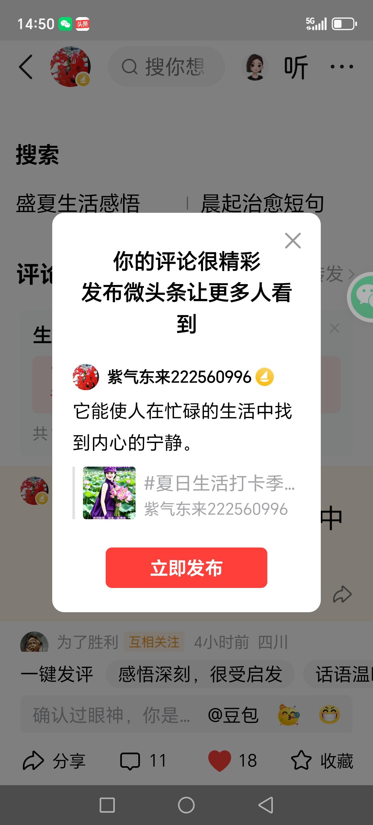 它能使人在忙碌的生活中找到内心的宁静。