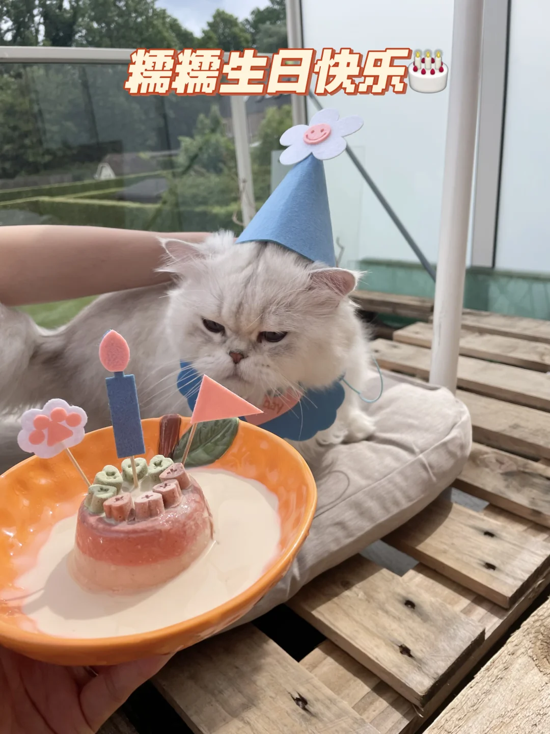 糯糯2026年6月6日6岁生日快乐🎂