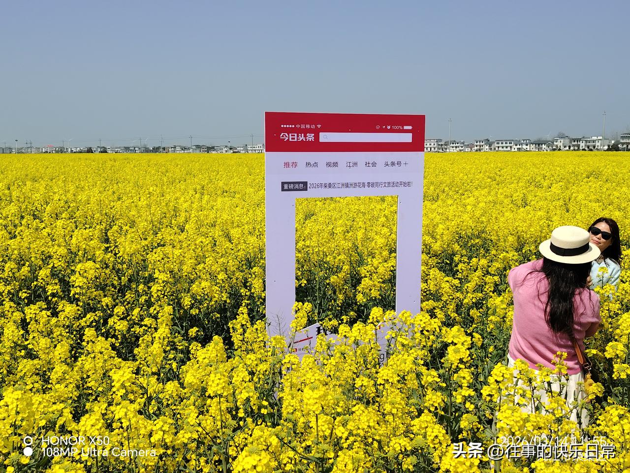 天南地北大拜年江州赏油菜花“天南地北大拜年”