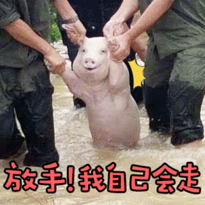 一种很新的解压方式 不卷不忙抓蚊子 把坏情绪都捏碎散掉 摆烂着也能治愈自己 