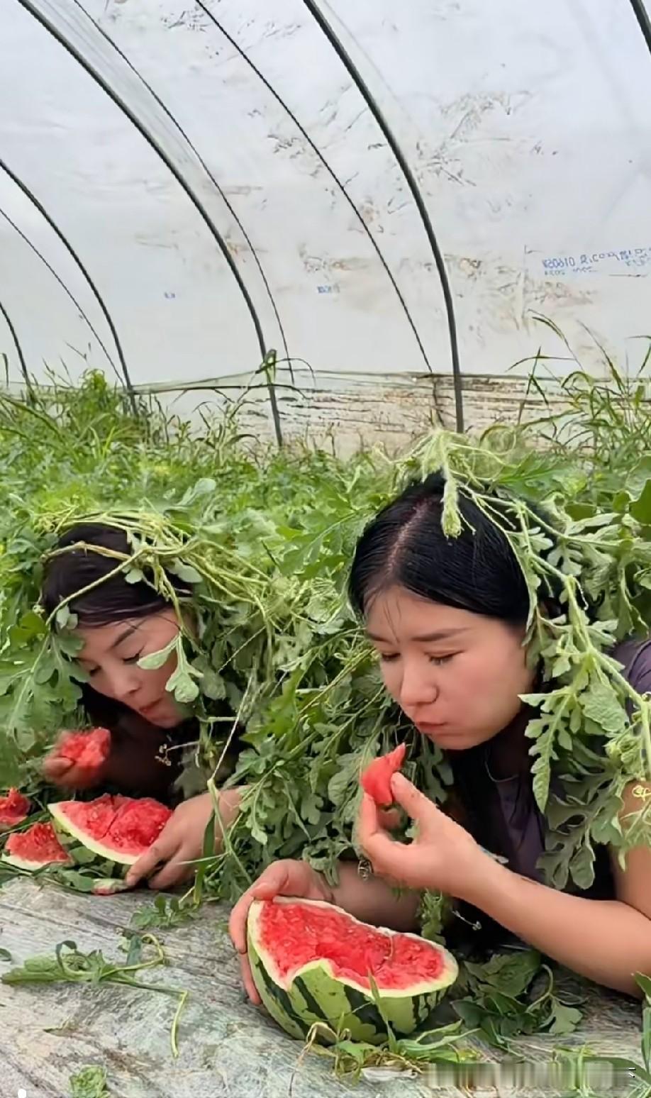 吃个西瓜需要这么偷偷摸摸吗[捂脸]