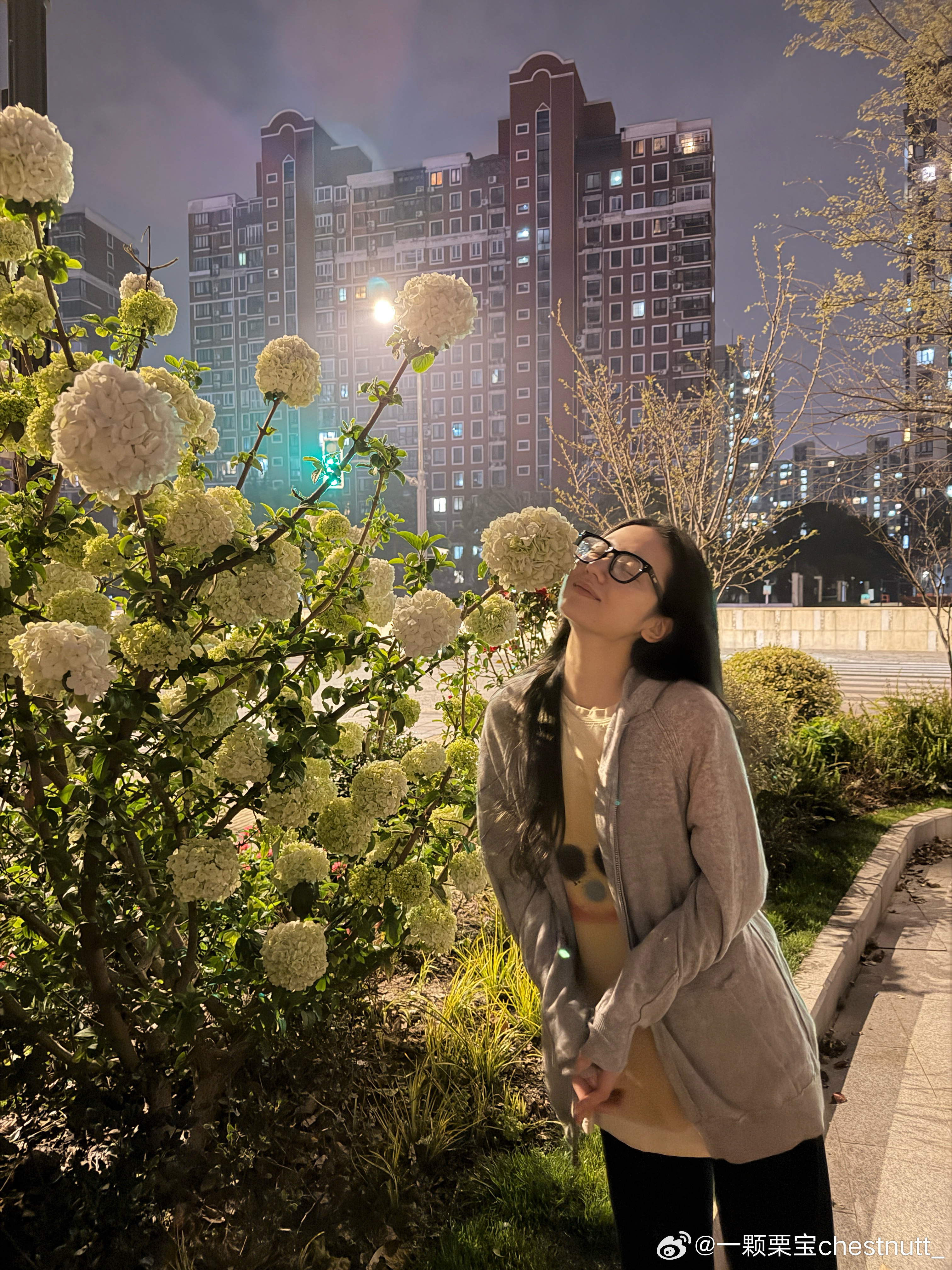 晚上去按摩了 吹着春风回家的路上看到了一颗绣球树 回家边看电视边吃了夜宵 ✌️ 