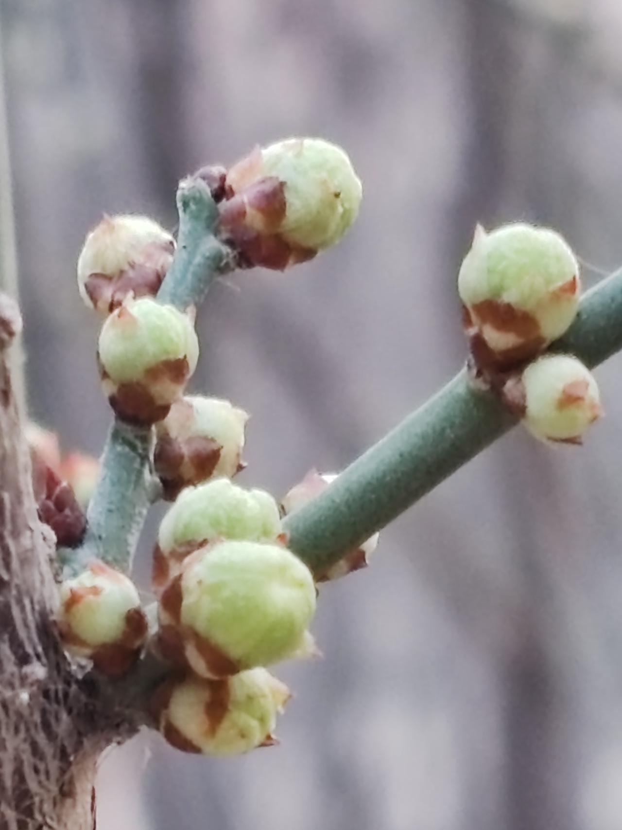 人步入老年，有的父母已然离世，孩子们也都成家立业。即便父母依旧健在，老人也不会有