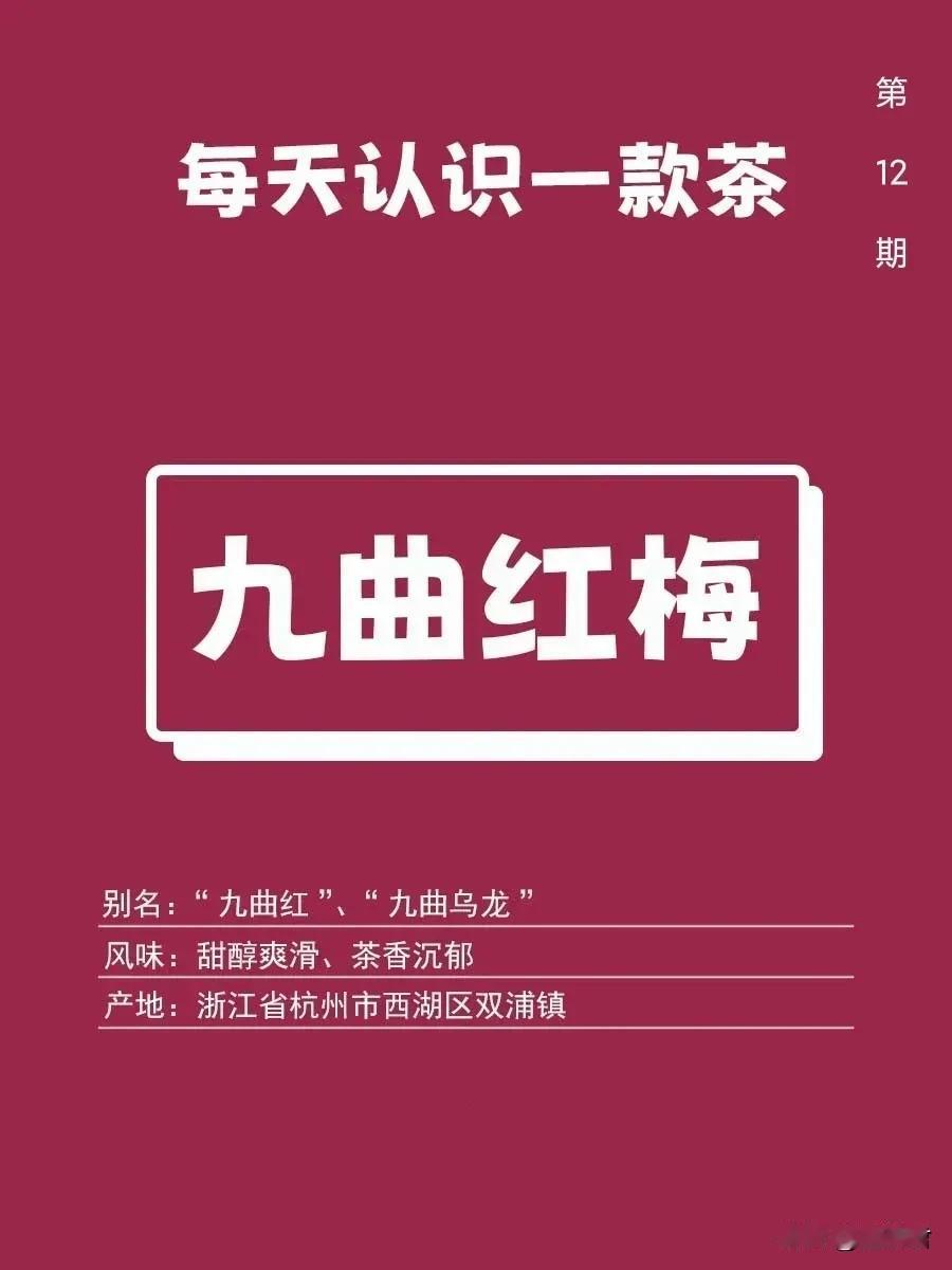 九曲红梅 | 每天认识一款茶12

👉名字由来
外形弯曲细紧，像一枚枚鱼钩，互