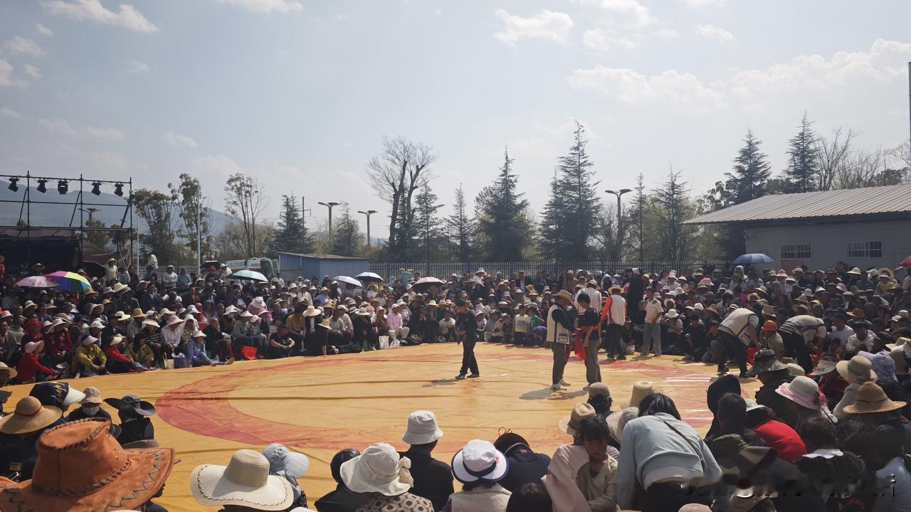 今天来黄草洲湿地公园，看摔跤比赛。今天比赛内容是15岁以下儿童组比赛，还有就是女