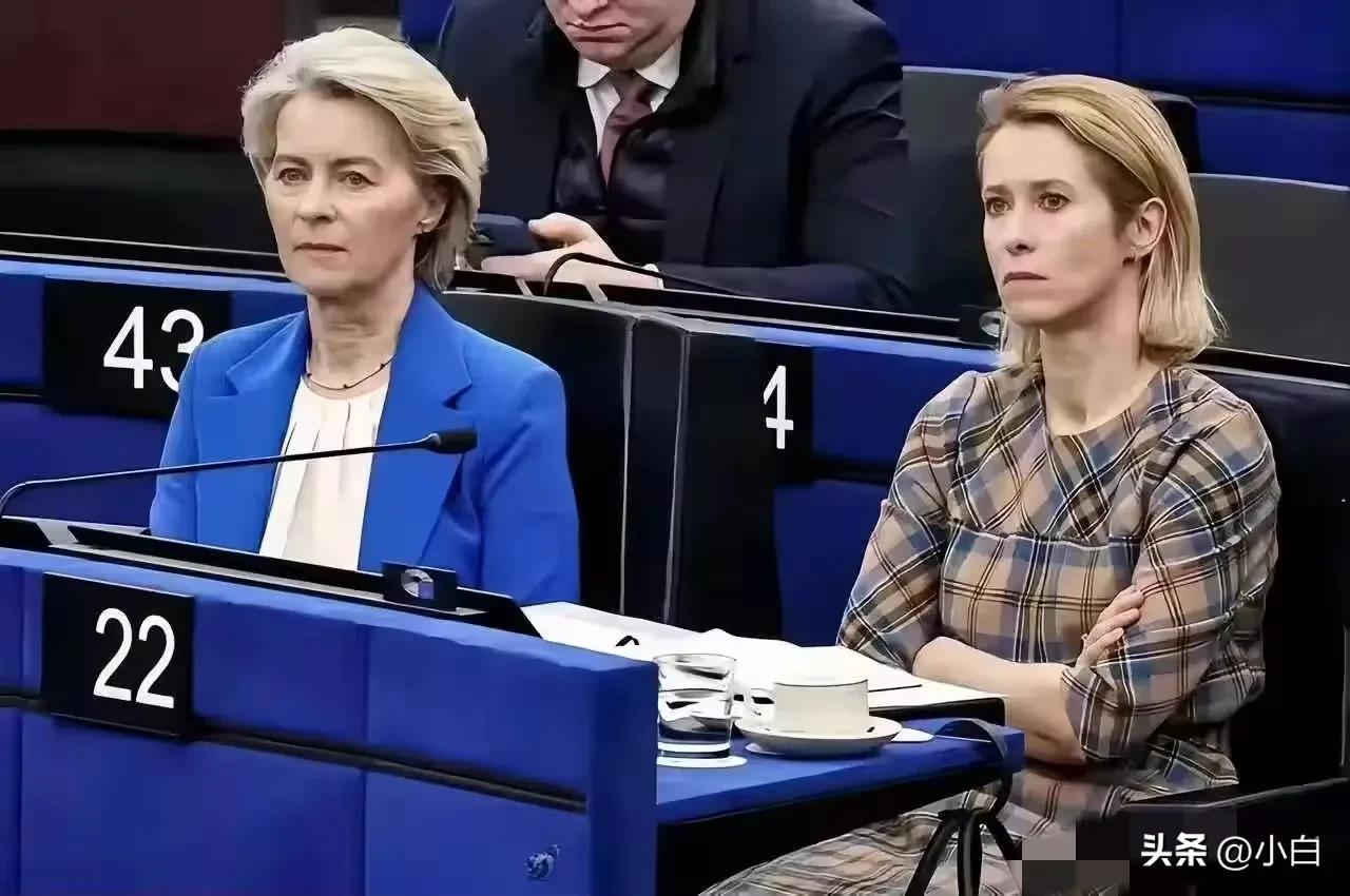 冯德莱恩被西班牙女议员怼的哑口无言。

在欧洲议会上，对于美以袭击伊朗，欧盟主席