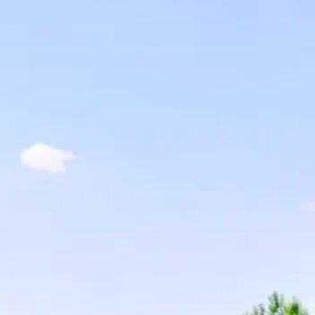 养养 不必总纠结于过往的对错，也不用困在未来的未知里惴惴不安。人生最珍贵的，从来