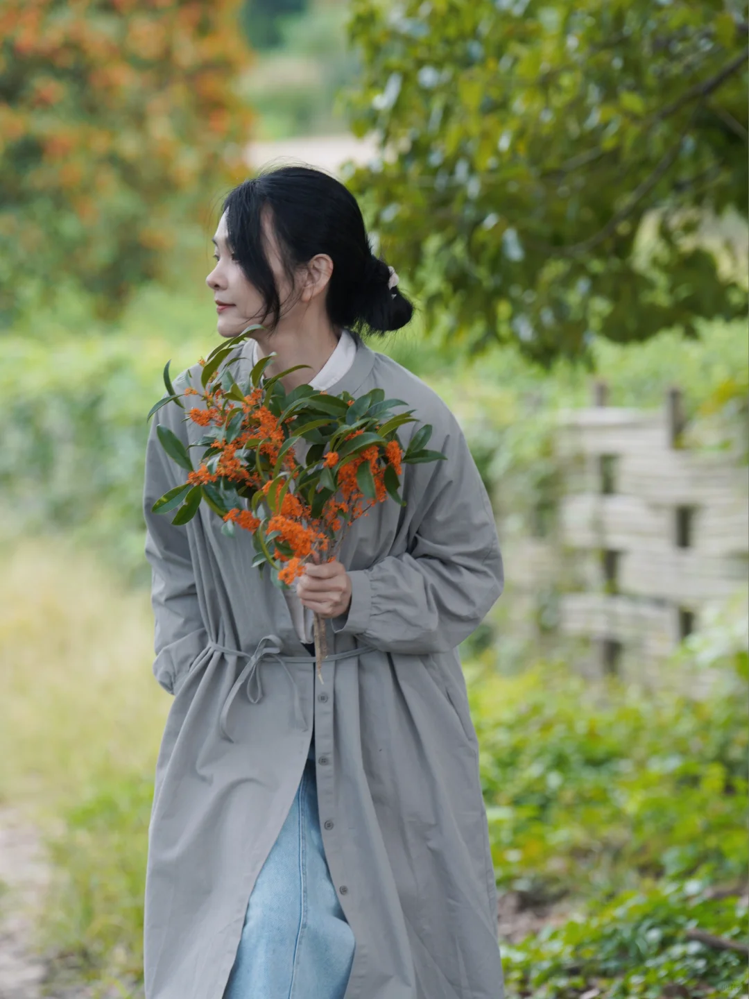 杭州满城桂花香｜上茶山，喝茶，赏桂，秋高气爽