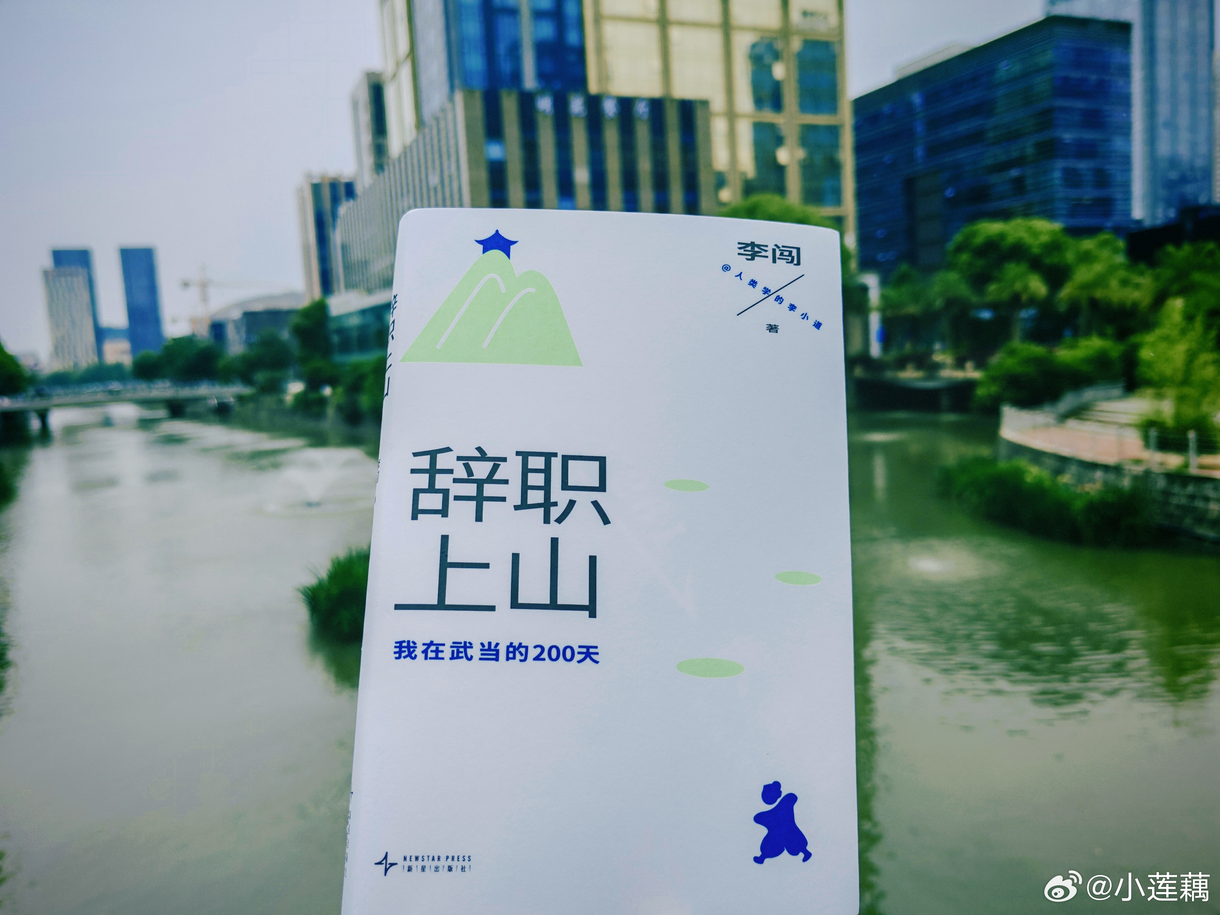 2026年手边书《辞职上山》葱儿5月22日跟我提起这本书的时候，我第一时间在图书