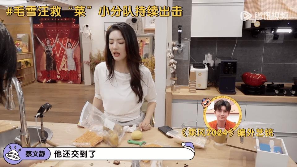 蔡文静上浪姐是被张云龙骗去的  不得不说，张云龙对蔡文静参加浪姐的 “误导” 堪