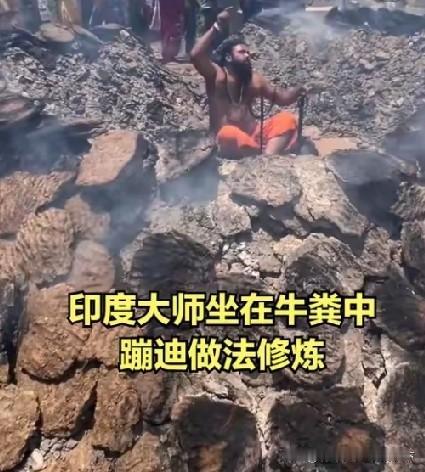 这膘肥体壮的，牛粪还真有营养[捂脸]