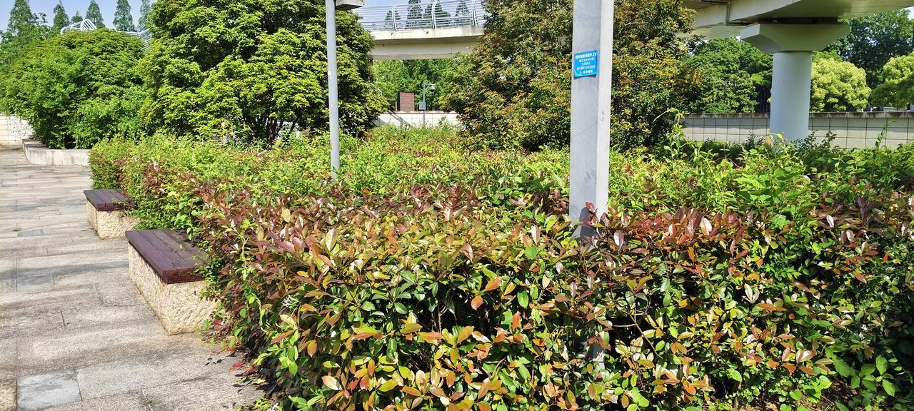 手握房子的投机客怕房价跌是真的。就像之前新闻里有个投机客，在房价高点时囤了好几套