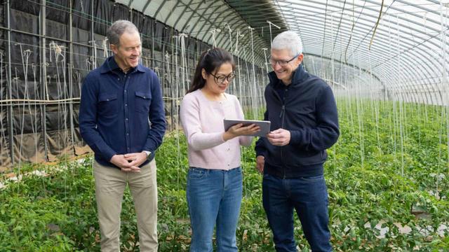 库克接班人退休了，苹果设计也彻底失去了方向？