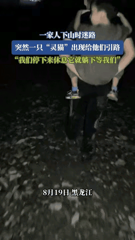 深夜，黑龙江的一家人决定去爬山，原本是想趁着夜晚凉爽，顺便看看星空，没想到下山时