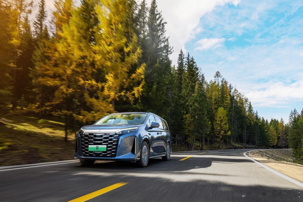 最近，“家庭头等舱”比亚迪2026款夏上市，带来智能座驾终极满足，限时19.68