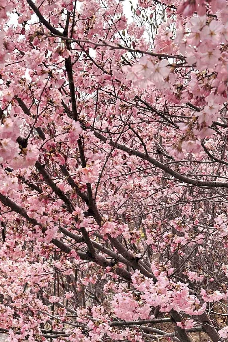 我的今日状态：😁轻松愉快
我这里的天气：☀️晴天