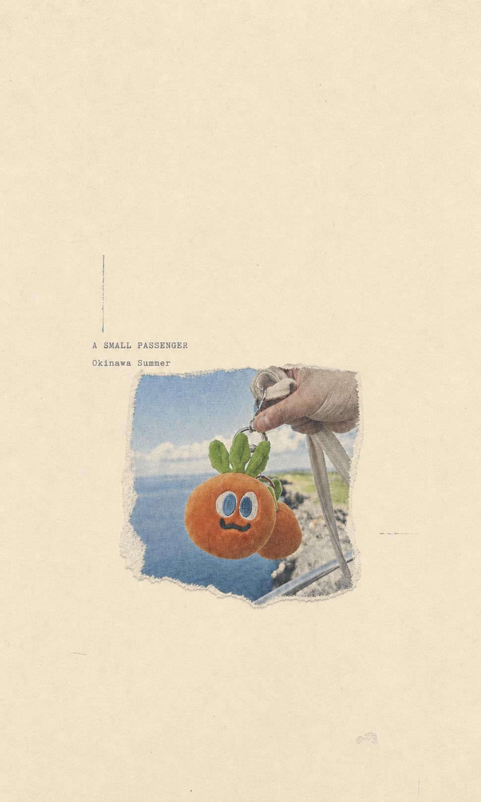 gc minimal zine poster，一个codex的极简海报生成ski