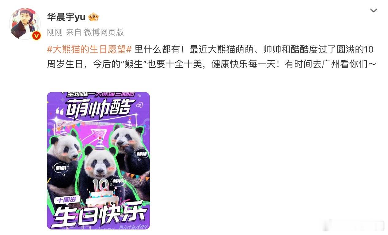 #华晨宇给大熊猫三胞胎庆生# 华晨宇发博为大熊猫三胞胎的十岁生日增添欢乐！他的祝