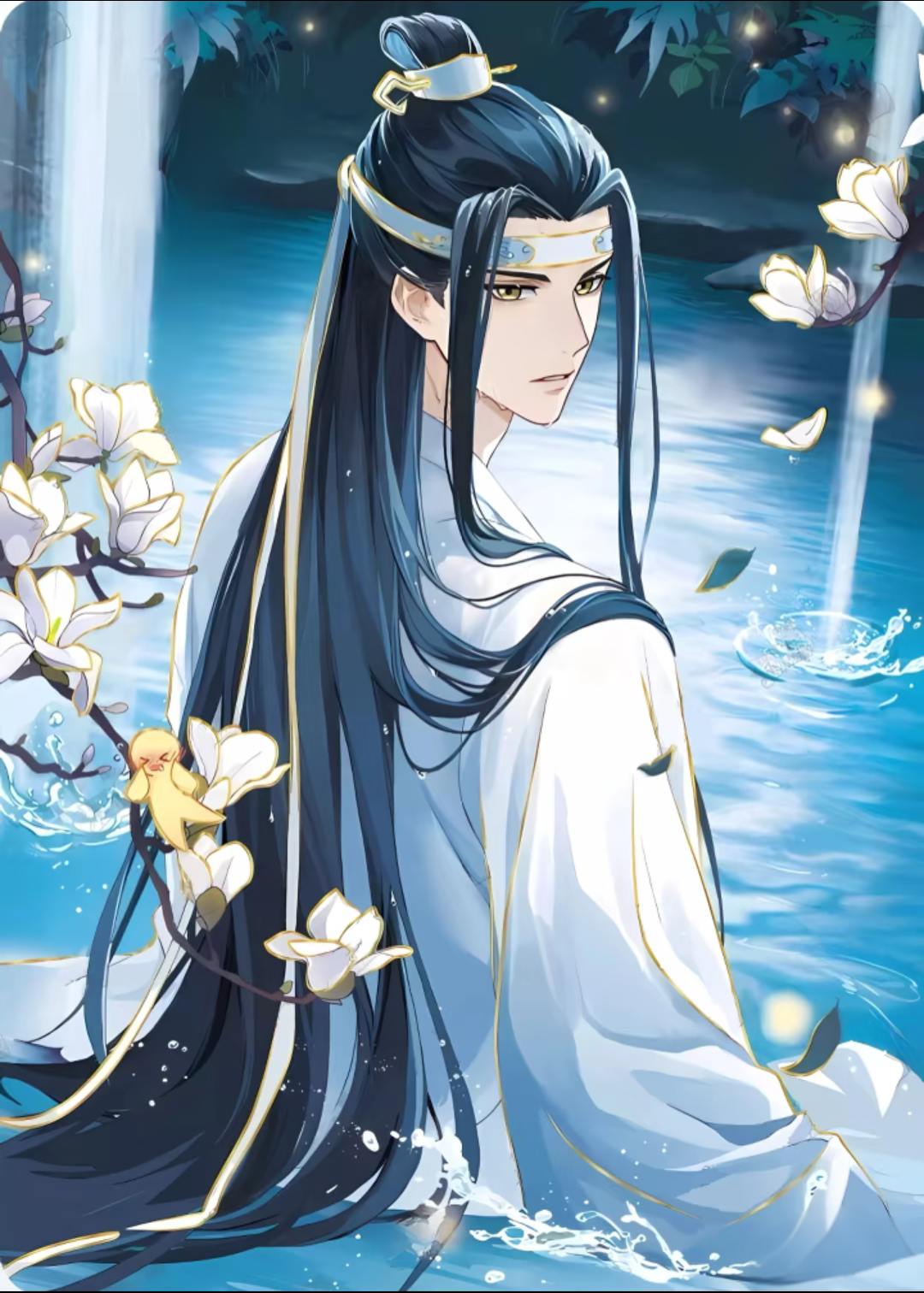 祝含光君生日快乐！