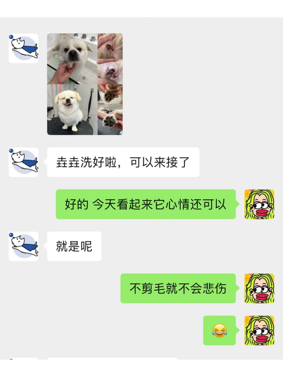 当我观察了每一张宠物店发来的图片……
