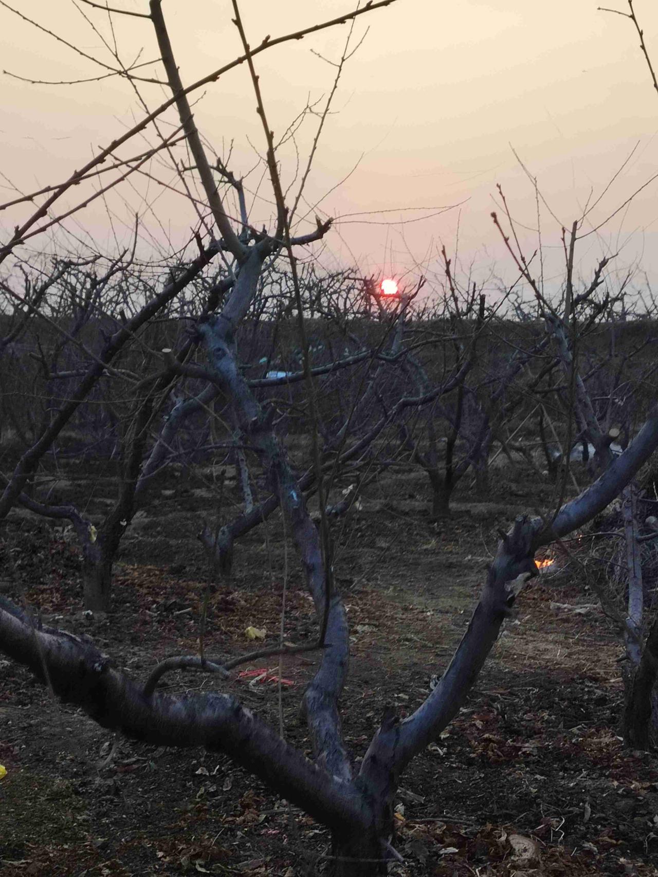 我的今日状态：😁轻松愉快
我这里的天气：🍂微风
