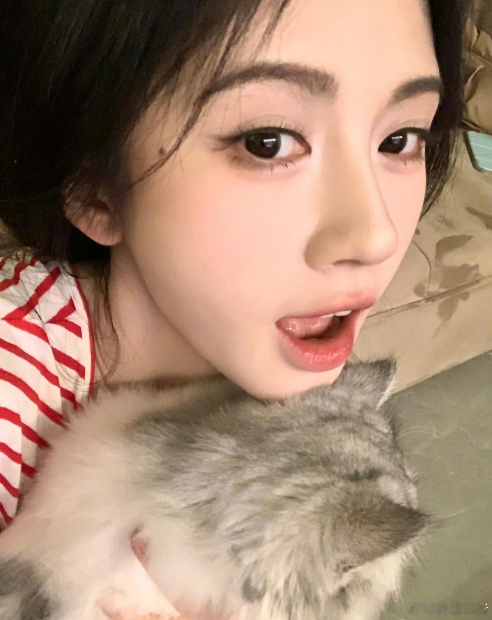 鞠婧祎鞠婧祎的猫也有番位 每次看到鞠婧祎晒猫都觉得，她私下一定是那种会跟猫说话的
