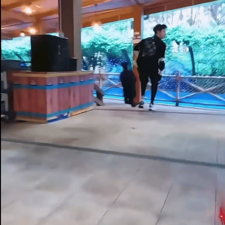 “朱志鑫试图用这个招数静止猎人”棍棍你咋这么呆萌啊！ 