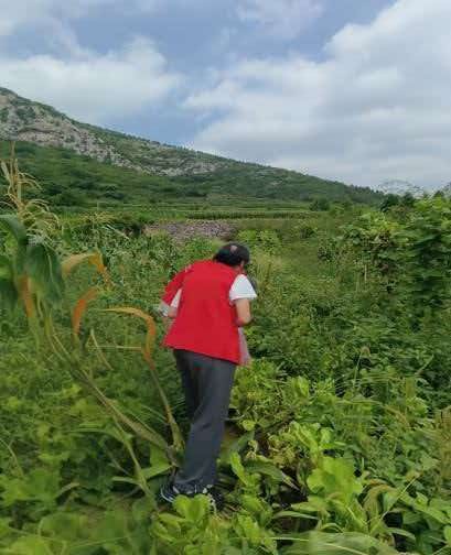 秦岭笑谈 【青春汗水润乡土，躬身劳作暖农心】曲阜师范大学大学生暑期社会实践三下乡