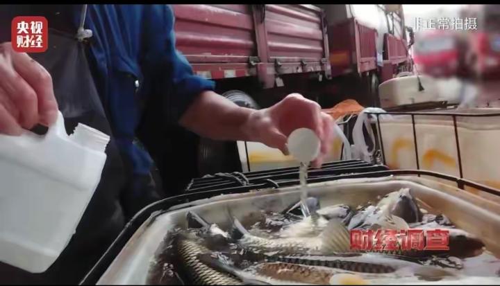 央视曝光“麻醉活鱼”黑幕｜
 央视财经调查曝光触目惊心的水产潜规则：重庆、山东临