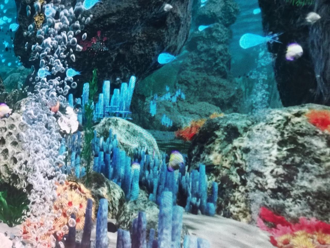 #一张图证明你去过水族馆#