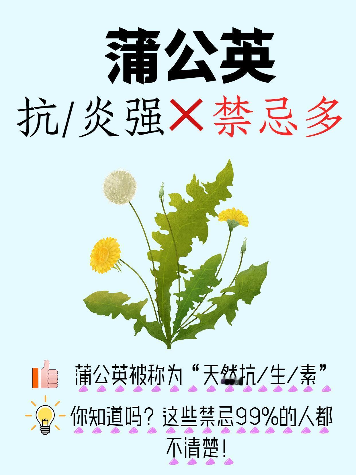 🍃蒲公英不是杂草，是宝藏❗ ​​​