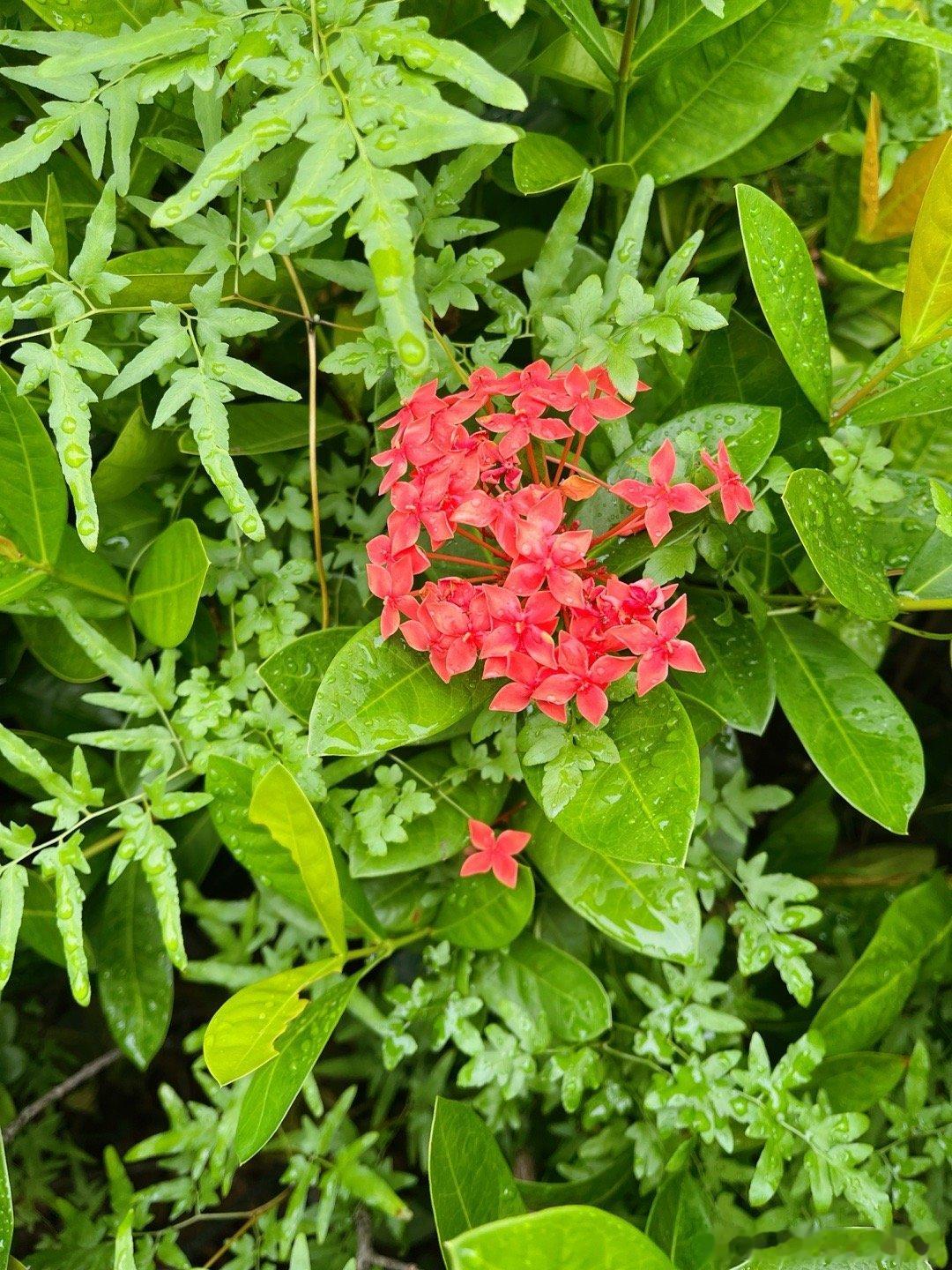 你越轻松，越不在乎结果，结果反而越好。——曾仕强 ​​​