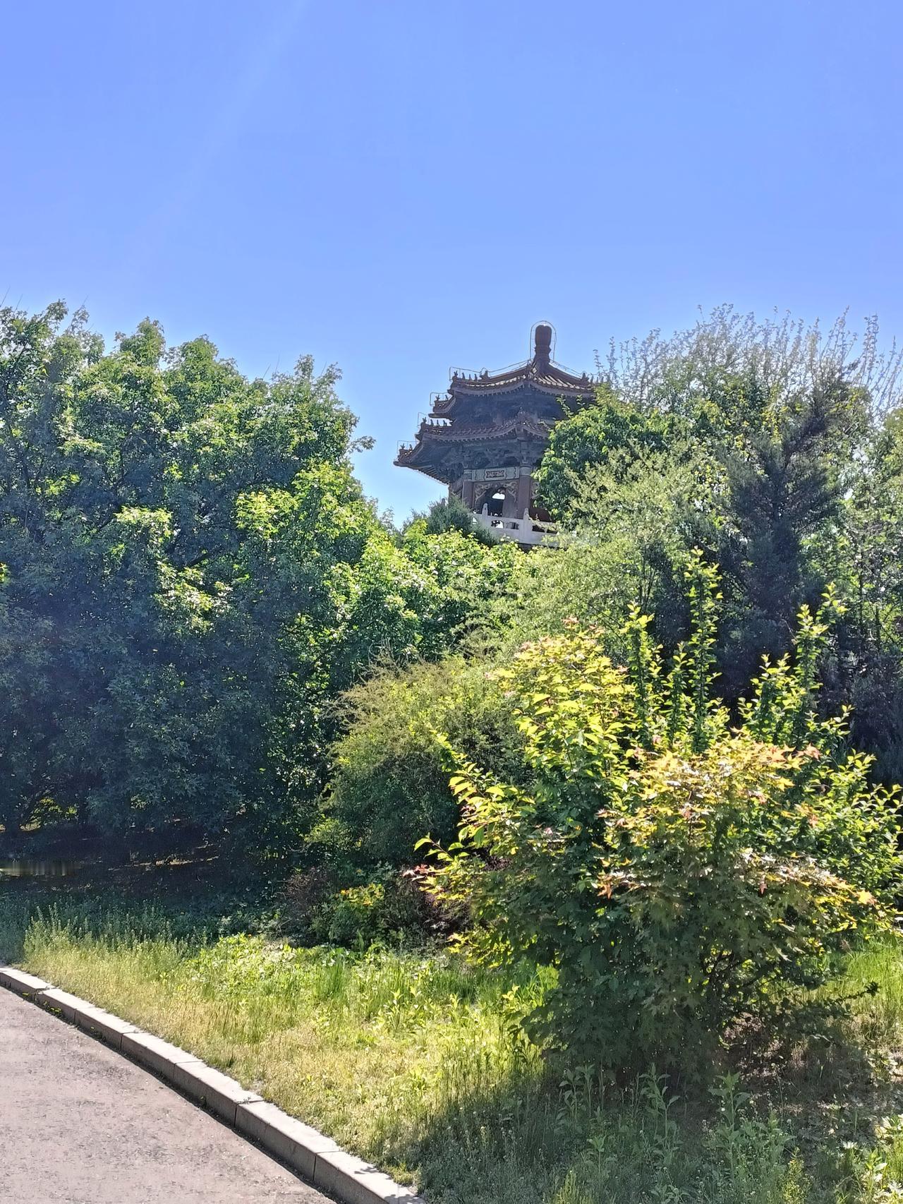 我相信吃亏是福。“吃亏是福”不是让我们盲目忍让，而是一种积极的人生态度。
在职场