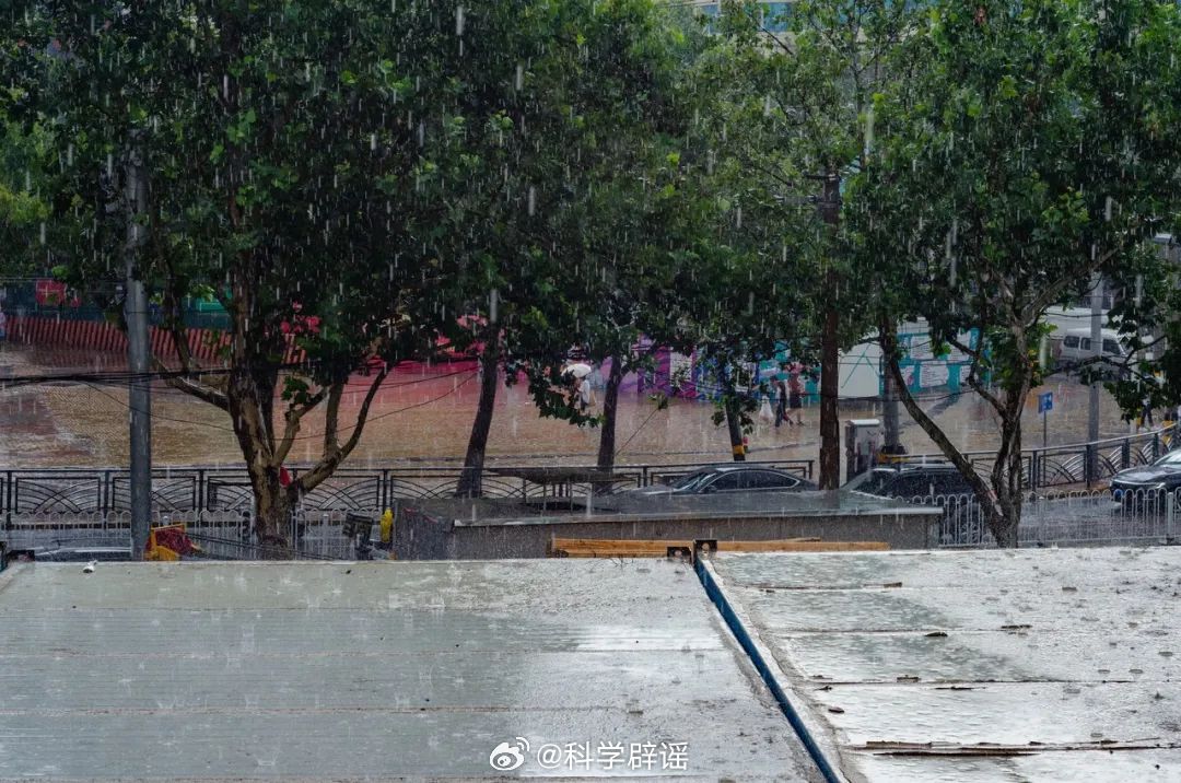 微博辟谣 【雷电大雨天没带雨具时，可以在树下躲雨？】真相：这个说法不正确。雷电大