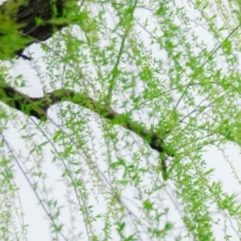 追一个女孩很久了，今天终于成功了，女孩问我什么感觉，我说觉的有点不敢信，她说傻瓜