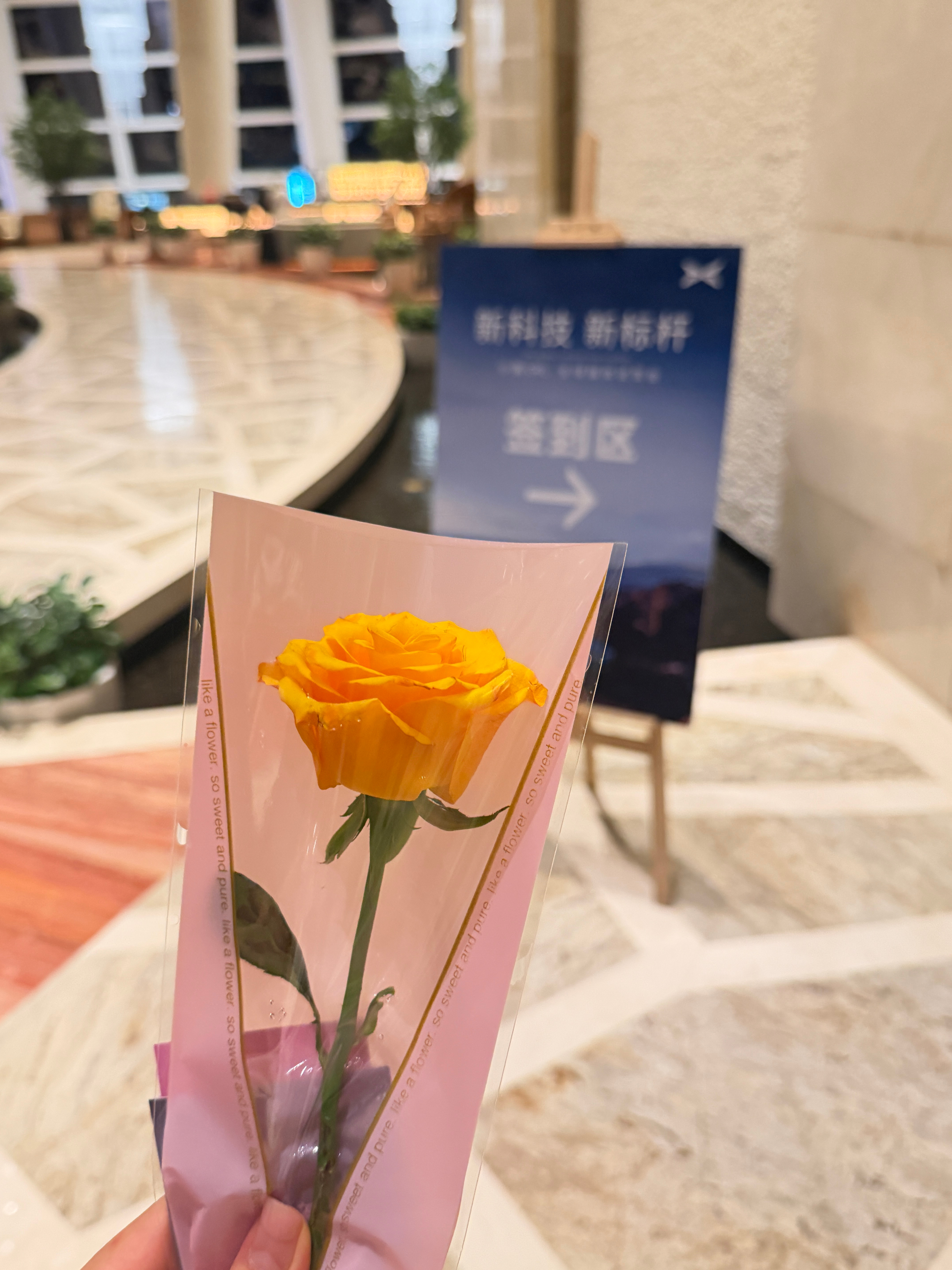七夕节 和小鹏一起 还有花花哈哈 深圳
