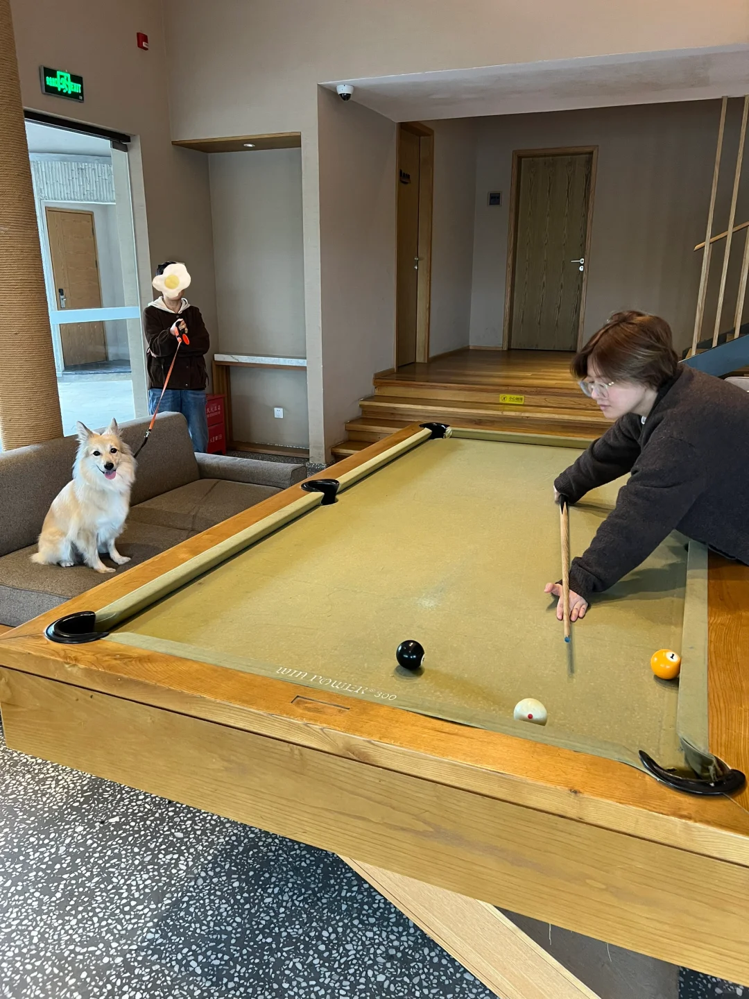 🎱 下一杆还是让小狗来吧
