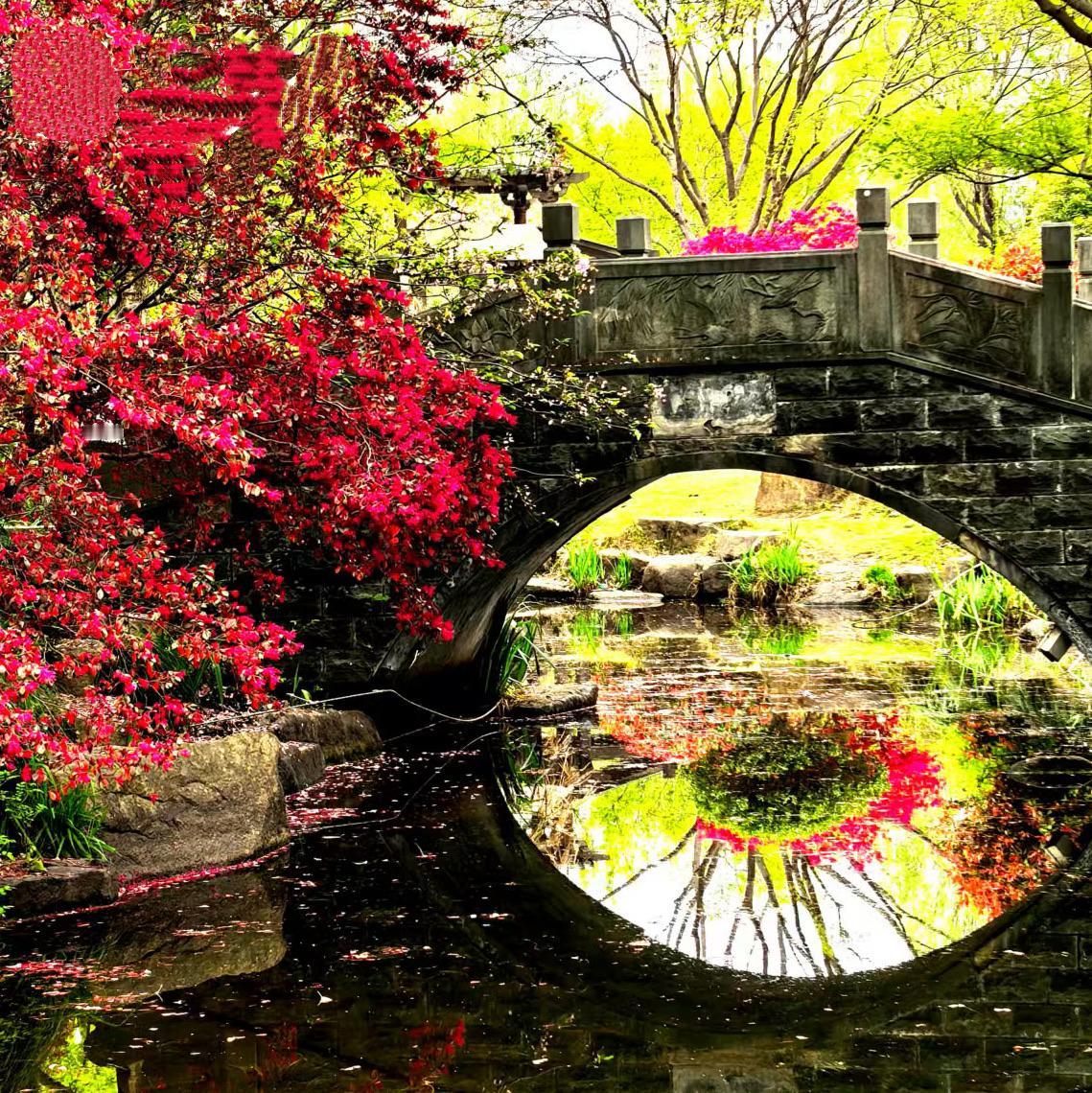 晨曦中古桥映画……