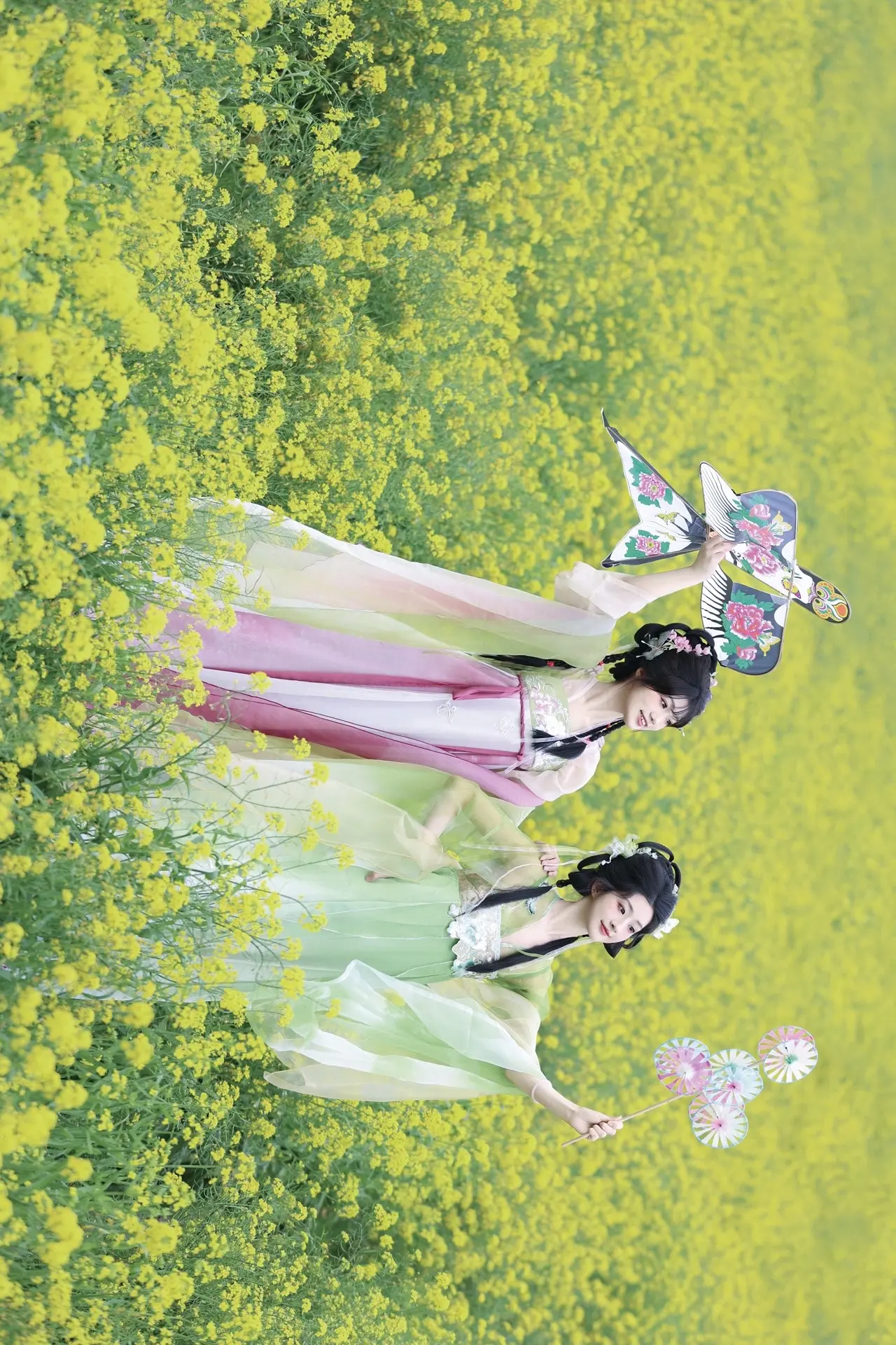 夏日顶流油菜花也是拍上了！