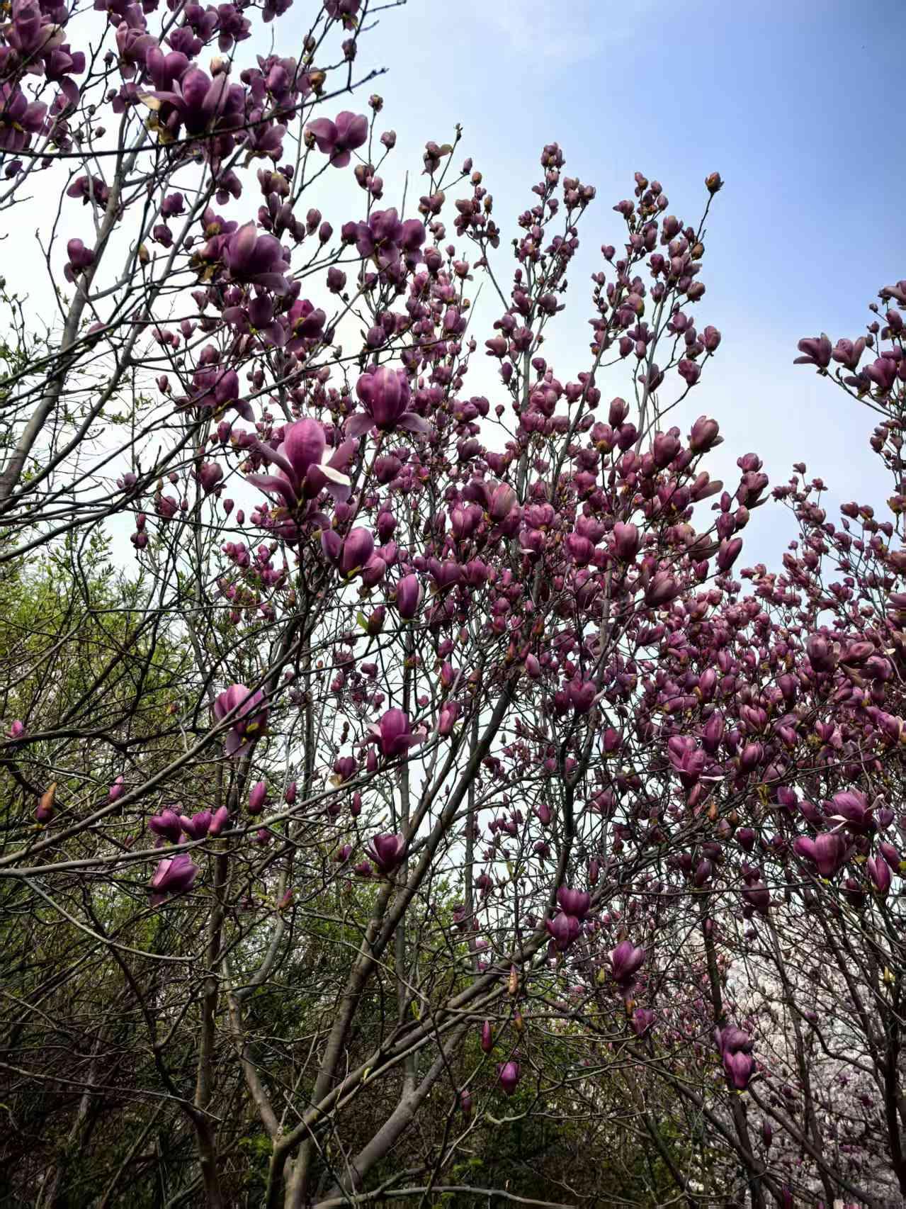 造价师的工作日常
    周末了，本来想休息下，结果一早客户微信发来了信息，说要