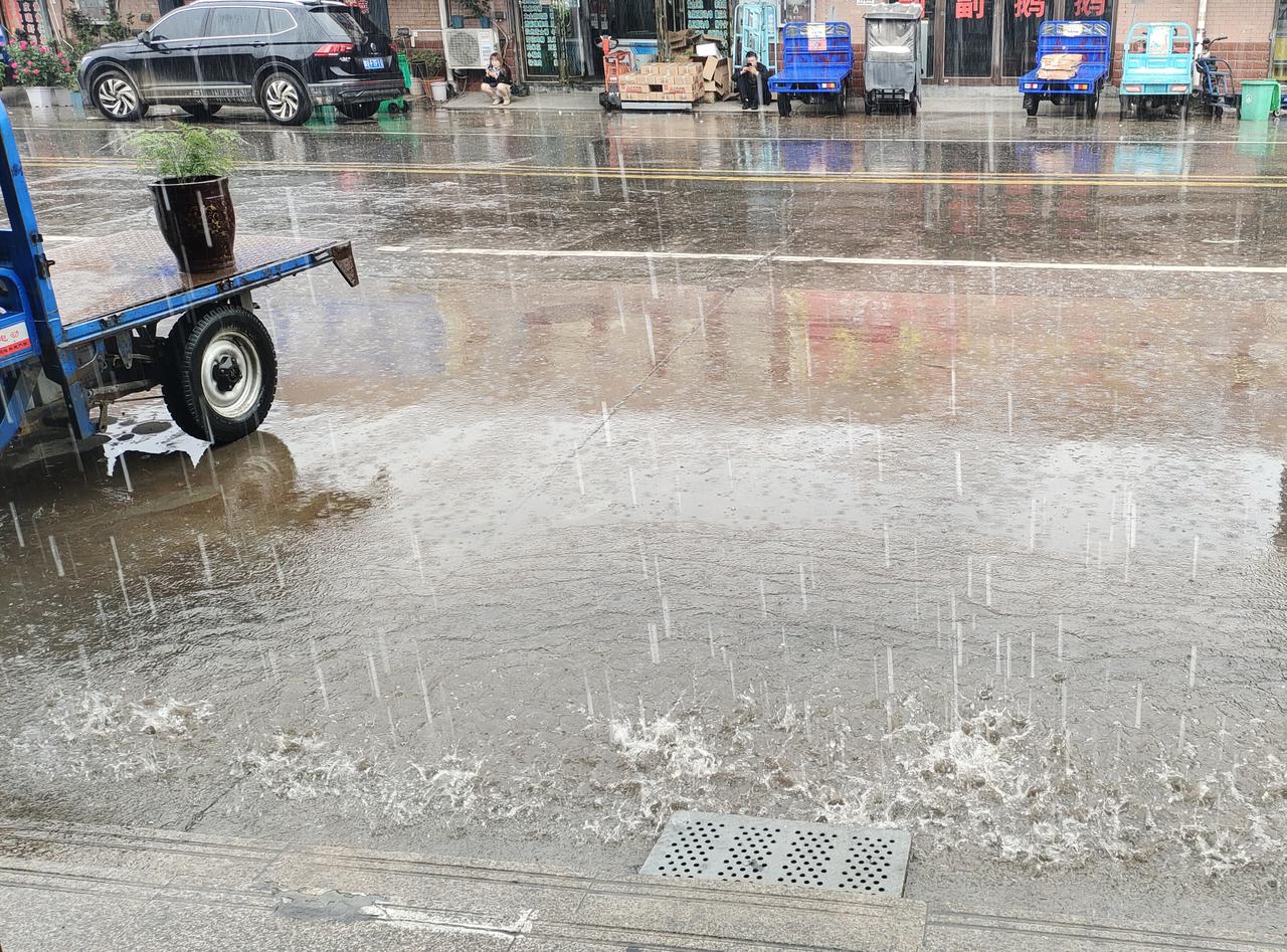 今天一早我又把文竹搬到了外面，昨天的毛毛细雨只打湿了花盆表面一层土，今天的雨应该