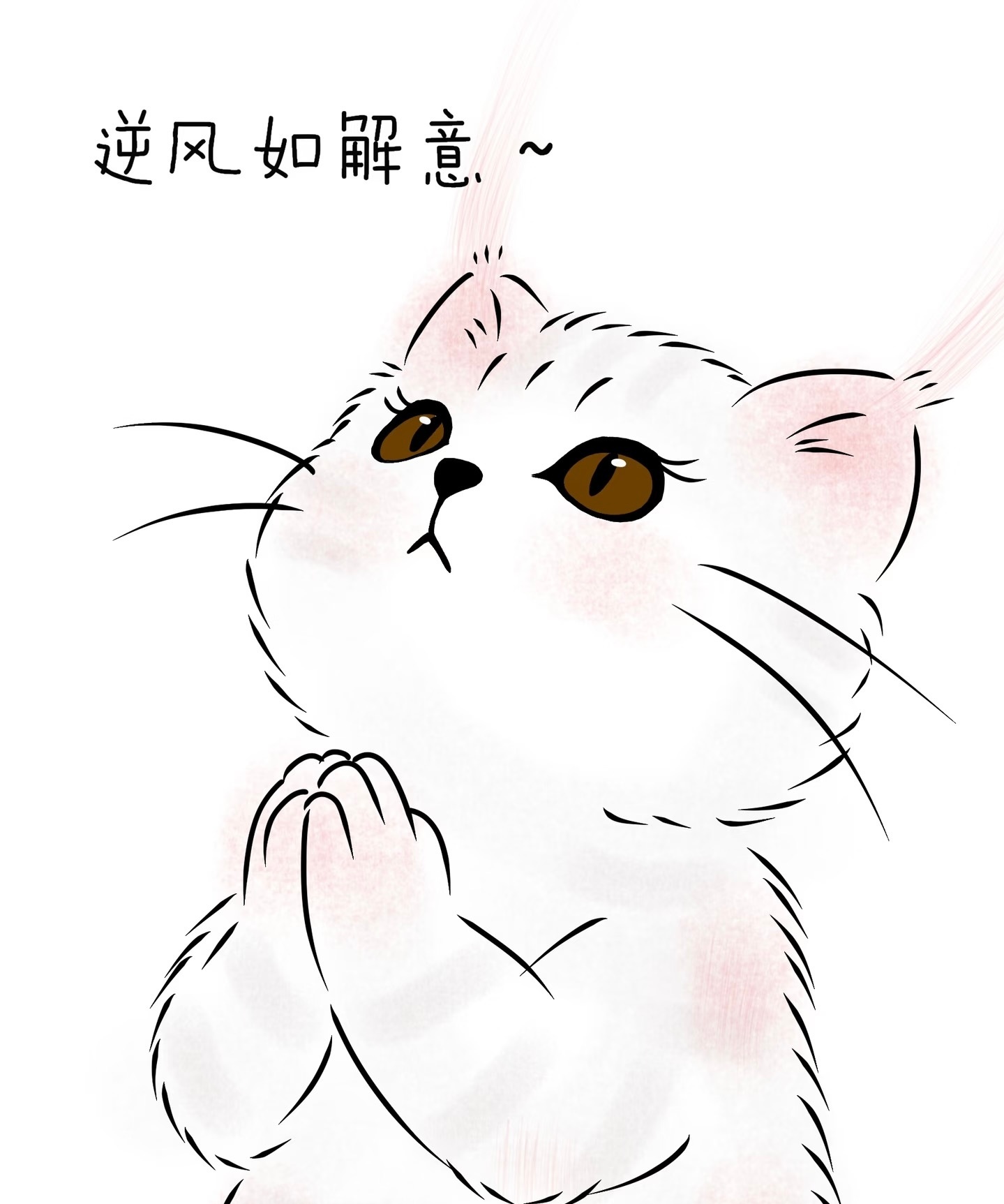 神马时候能出车震卡扣缴卡就算真的拿到大结果了 实在不行把流辉实装成动画我也认了 