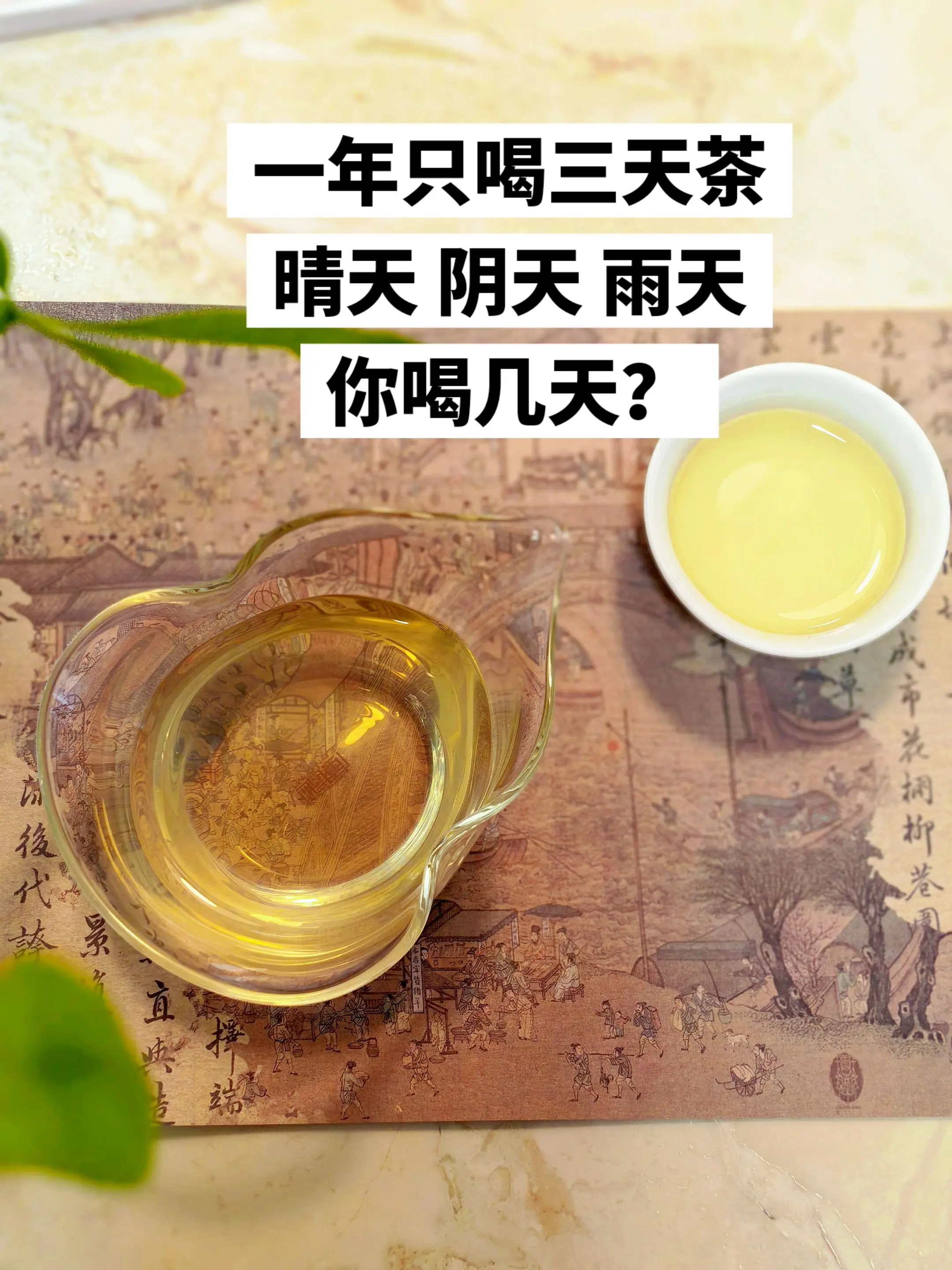 一年也就只喝三天茶，晴天、阴天、雨天！