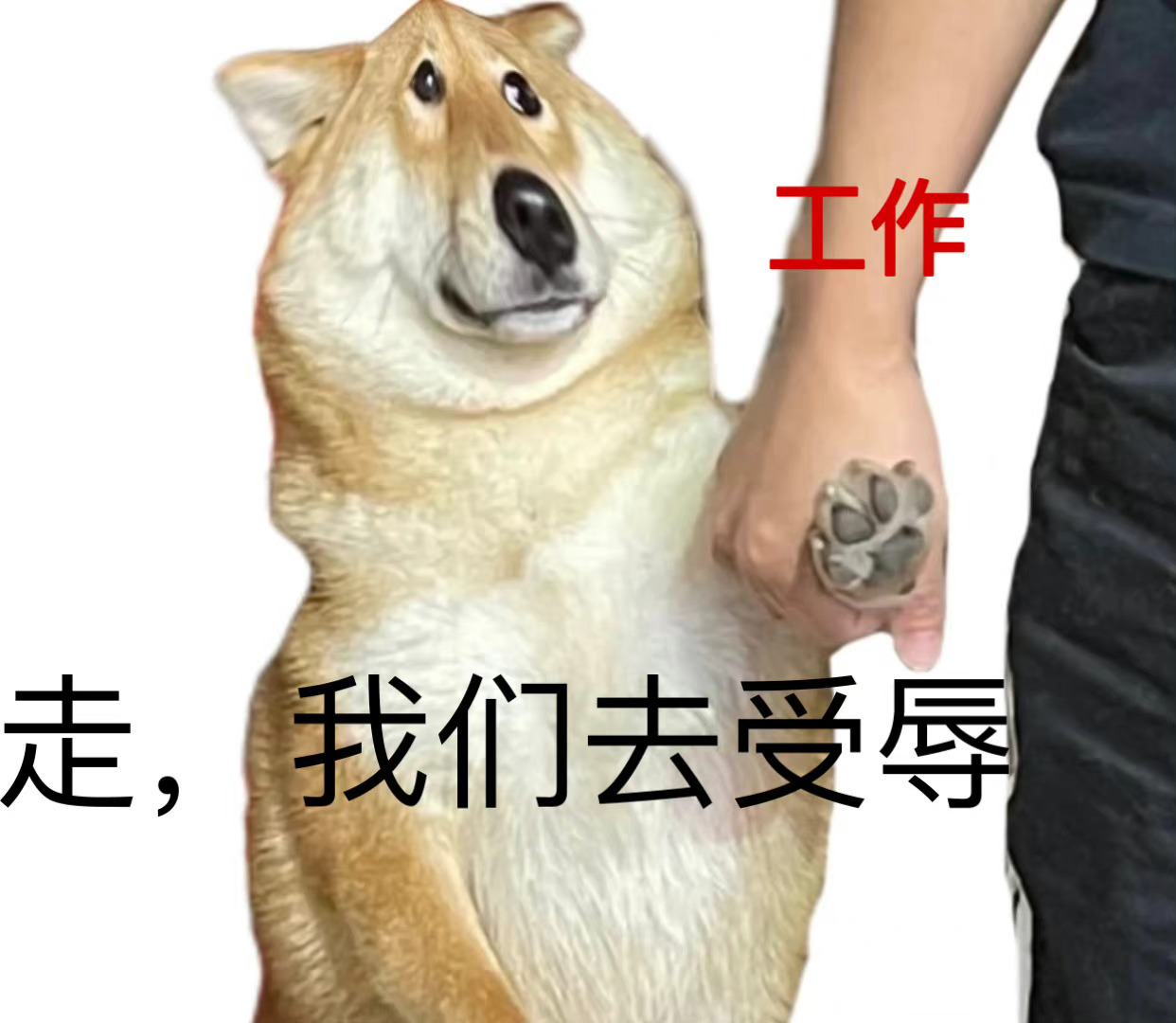 人活着，别总是在抱怨，人生没有完美，生活怎可能事事如意，你羡慕别人的光鲜亮丽，却