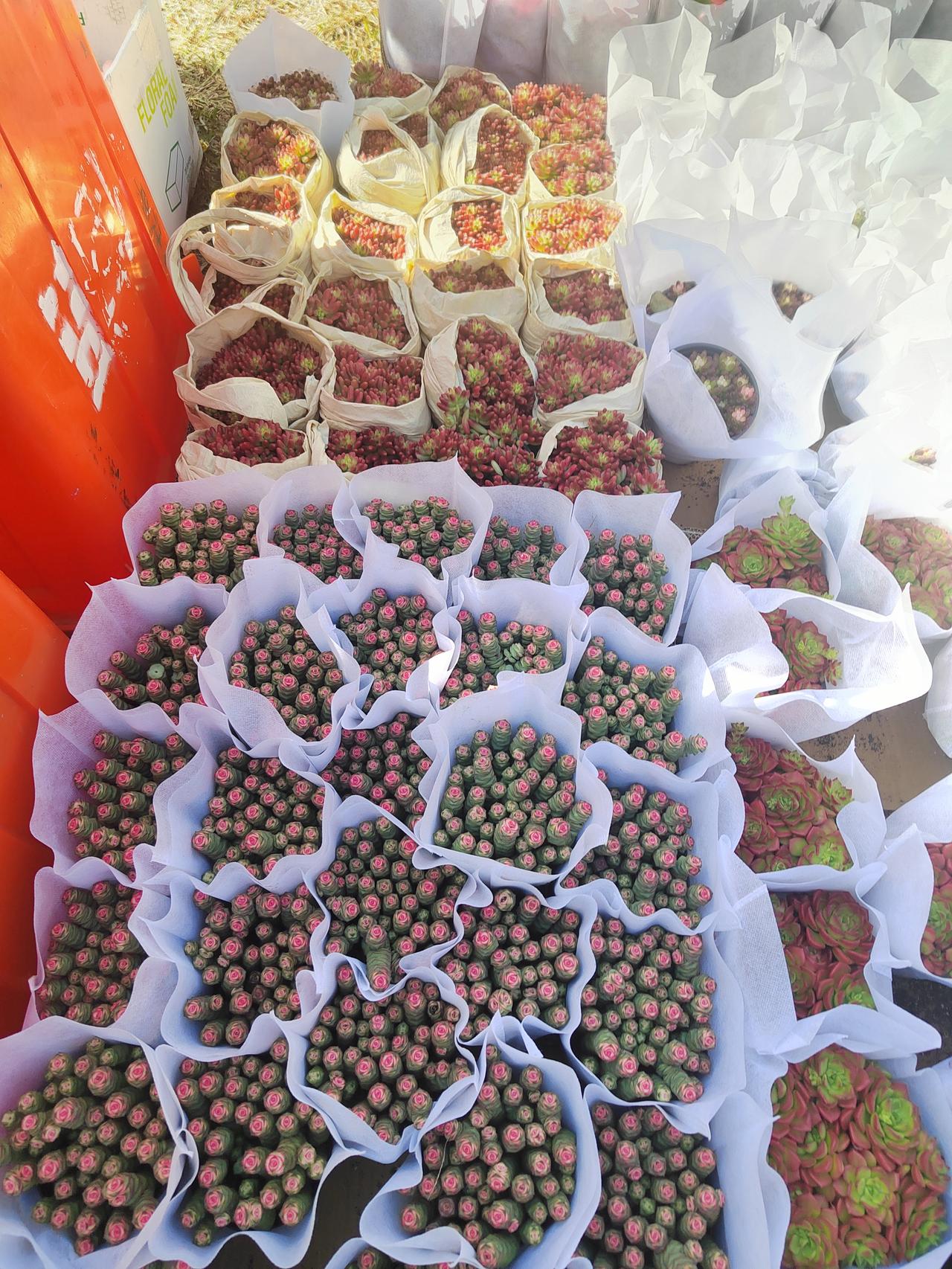 有没有人在广东省，整个省份都走过了呢，包括粤东，粤西、粤北。