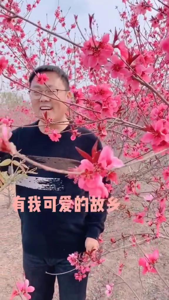 在那桃花盛开的地方，有我可爱的故事。桃树倒影在明镜的水面。