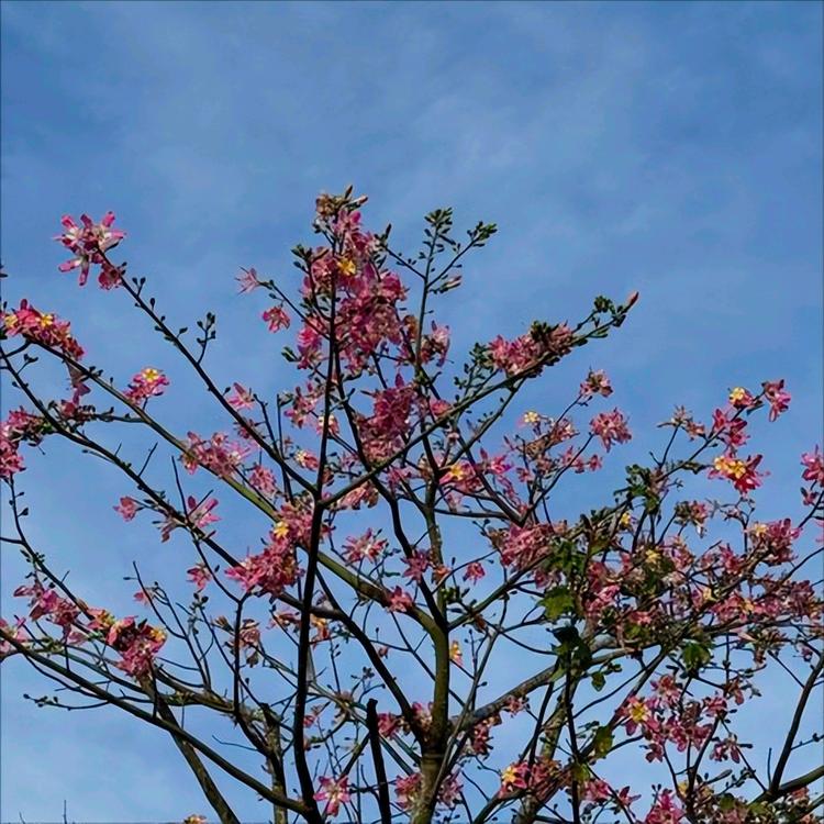 11月28日   中央政治局会议传递出3个重要信号
 
一是二十届中央第五、第六